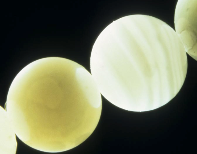 Pérolas em close-up com brilho translúcido sob iluminação