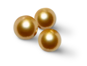 Três pérolas douradas South Sea, conhecidas por sua origem nos mares do sul.