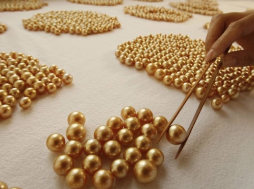 Seleção de pérolas douradas com pinça em superfície branca
